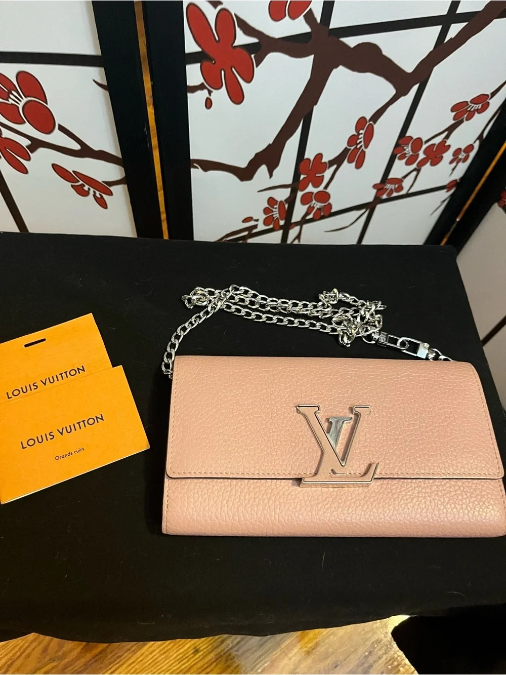 Louis Vuitton louis vuitton